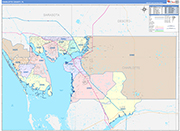 Charlotte County Wall Map Color Cast Style