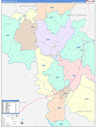 Charlotte County Wall Map Color Cast Style