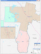 Charlton County Wall Map Color Cast Style