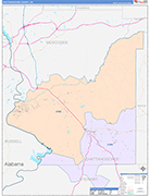 Chattahoochee County Wall Map Color Cast Style