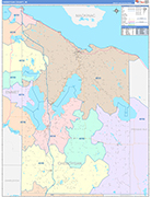 Cheboygan County Wall Map Color Cast Style