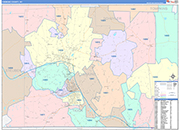 Chemung Wall Map Color Cast Style