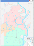Chicot County Wall Map Color Cast Style