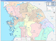 Citrus County Wall Map Color Cast Style