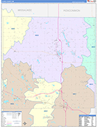 Clare County Wall Map Color Cast Style