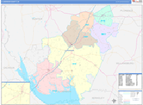 Clarendon County Wall Map Color Cast Style