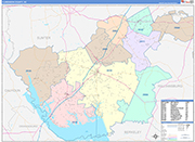Clarendon County Wall Map Color Cast Style
