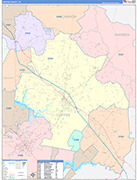 Coffee County Wall Map Color Cast Style