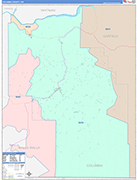 Columbia County Wall Map Color Cast Style