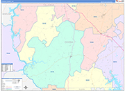 Coosa Wall Map Color Cast Style