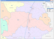 Copiah Wall Map Color Cast Style