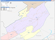 Craig County Wall Map Color Cast Style