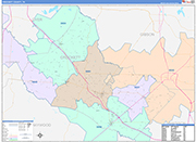 Crockett County Wall Map Color Cast Style
