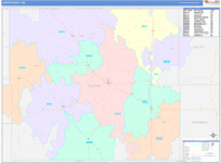 Custer County Wall Map Color Cast Style