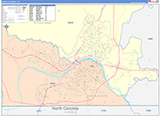 Danville County Wall Map Color Cast Style