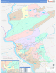 Dauphin County Wall Map Color Cast Style