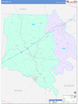 Davie County Wall Map Color Cast Style