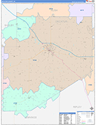 Decatur Wall Map Color Cast Style