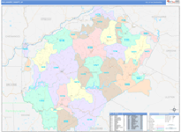 Delaware County Wall Map Color Cast Style