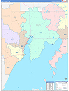 Delta County Wall Map Color Cast Style