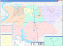 Desoto County Wall Map Color Cast Style