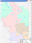 Deuel County Wall Map Color Cast Style