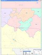 Dickens County Wall Map Color Cast Style