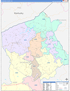 Dickenson County Wall Map Color Cast Style