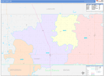 Dickey County Wall Map Color Cast Style