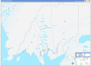 Dillingham County Wall Map Color Cast Style