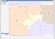Dimmit County Wall Map Color Cast Style