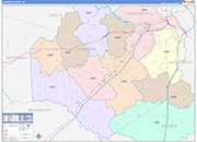 Dinwiddie County Wall Map Color Cast Style
