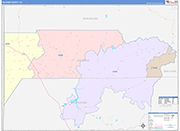 Dolores County Wall Map Color Cast Style