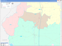 Dooly County Wall Map Color Cast Style