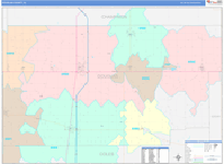 Douglas County Wall Map Color Cast Style