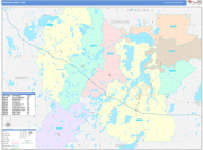 Douglas County Wall Map Color Cast Style