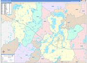 Douglas County Wall Map Color Cast Style
