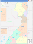 Dunklin County Wall Map Color Cast Style