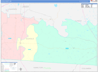Echols County Wall Map Color Cast Style