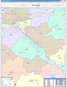 Elkhart Wall Map Color Cast Style