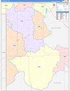 Ellis County Wall Map Color Cast Style