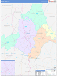 Emanuel County Wall Map Color Cast Style