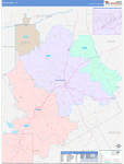 Erath County Wall Map Color Cast Style