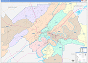 Etowah County Wall Map Color Cast Style