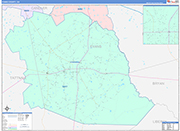 Evans County Wall Map Color Cast Style