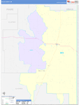 Fallon County Wall Map Color Cast Style