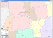 Ford County Wall Map Color Cast Style