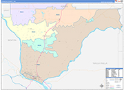Franklin Wall Map Color Cast Style