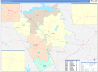 Freestone County Wall Map Color Cast Style