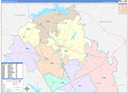 Freestone County Wall Map Color Cast Style